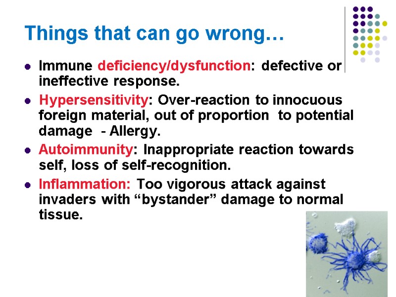 Things that can go wrong… Immune deficiency/dysfunction: defective or ineffective response. Hypersensitivity: Over-reaction to
